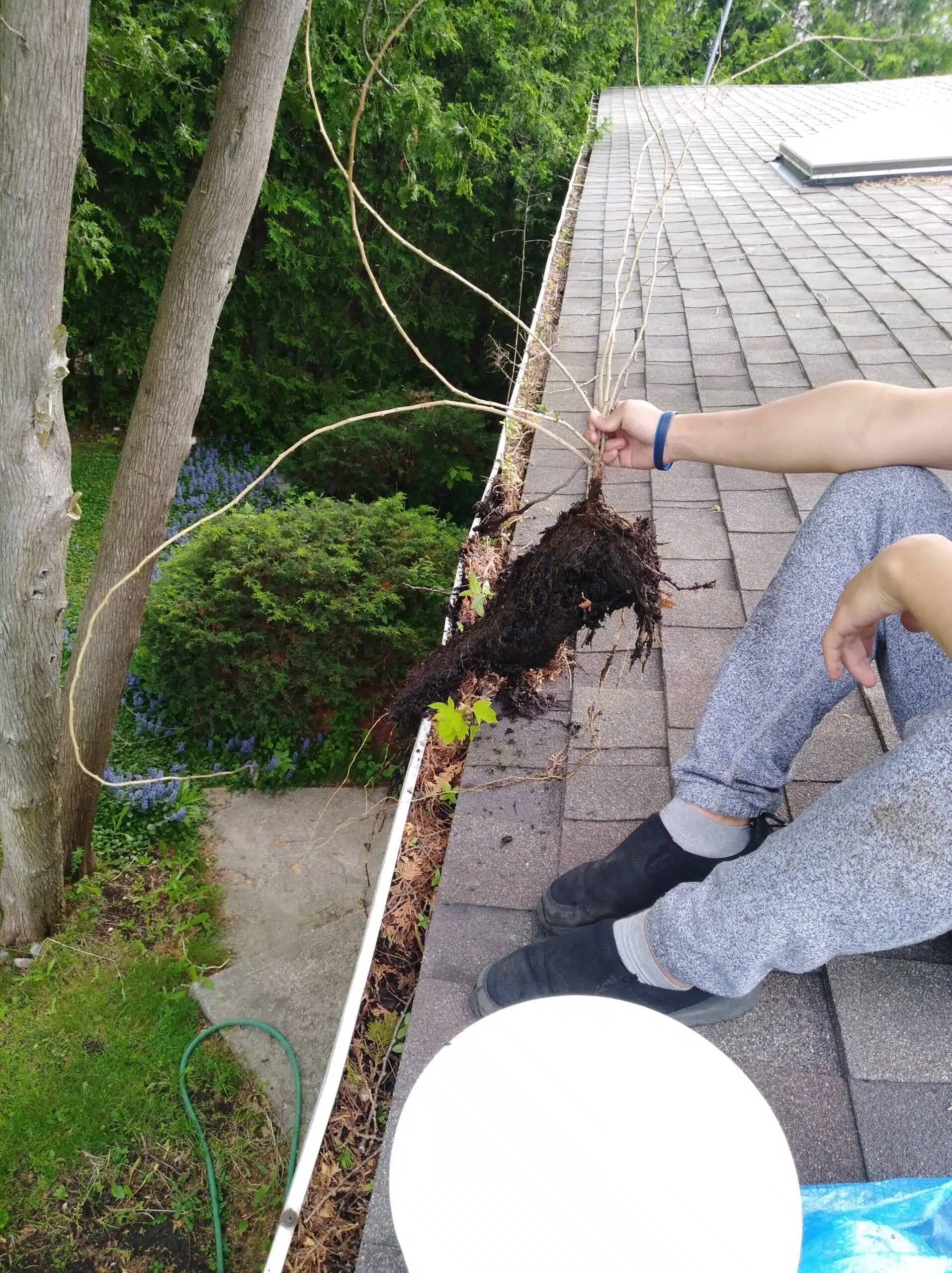 Eavestrough Cleaning Services in Toronto Silkwaters Windows and Eaves Cleaning