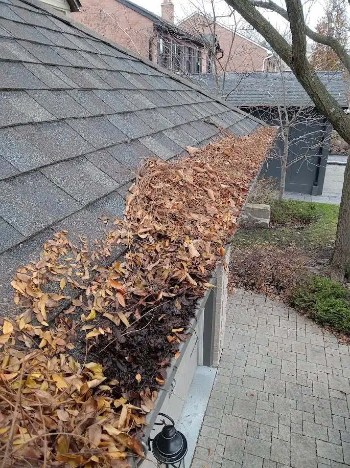 Eavestrough Cleaning Services in Toronto Silkwaters Windows and Eaves Cleaning
