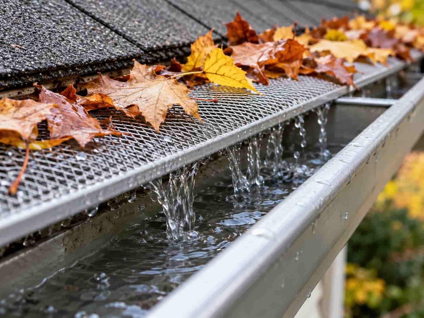 Mesh gutter guard installed on an eavestrough with leaves on top and rainwater flowing through